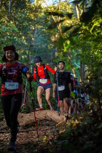 BIB: 2439, 3435
                            <button type="button" onclick="openModal(19242604)" class="btn btn-primary btn-sm float-right btn-popup" data-toggle="modal" data-target=".modal-high-quality">
                        <i class="fas fa-shopping-cart"></i> Add to Cart
                    </button>
                                            <button type="button" onclick="isThisMe(19242604, true)" class="btn btn-success btn-sm float-right btn-popup btn-isme hidden" data-toggle="tooltip" data-placement="bottom" title="นี่คือรูปของคุณใช่ไหม คลิกที่นี่เพื่อเอาเข้าอัลบั้ม">
                        <i class="fas fa-plus"></i> Add to album
                    </button>
                    <button type="button" onclick="isThisMe(19242604, false)" class="btn btn-warning btn-sm float-right btn-popup btn-isnotme hidden">
                        <i class="fas fa-ban"></i> Remove from album
                    </button>